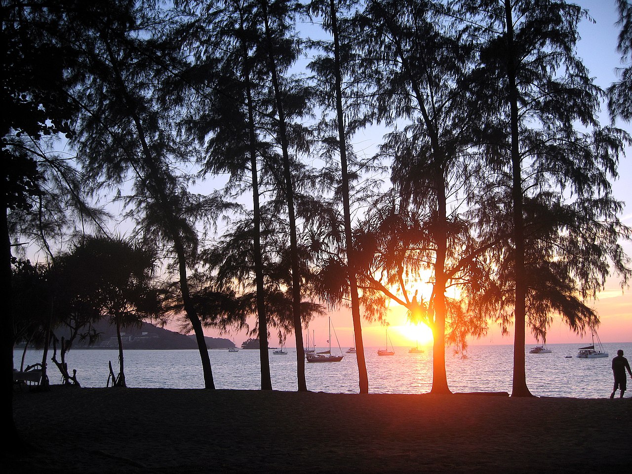 บรรยากาศยามเย็นที่หาดในยางผ่านแนวต้นไม้